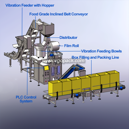 Counting Bagging Machine with Box Packing Line -Dates (7)