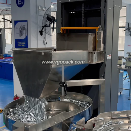 Counting and Weighing Packing Machine-Bolt (4)