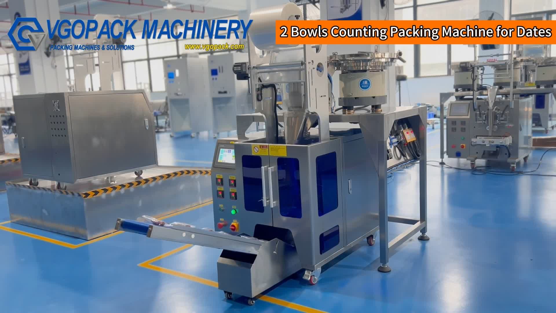 Dry Dates and Jujube | Pillow Bag | 2 Bowls Automatic Counting Packing Machine