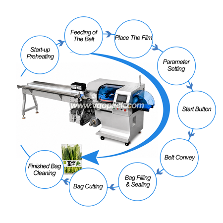 Horizontal Bottom Film Flow Pack Machine-Vegetable Pillow Bag (15)