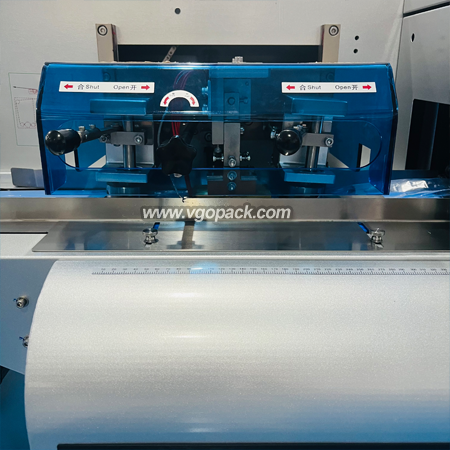 Horizontal Bottom Film Flow Pack Machine-Vegetable Pillow Bag (6)
