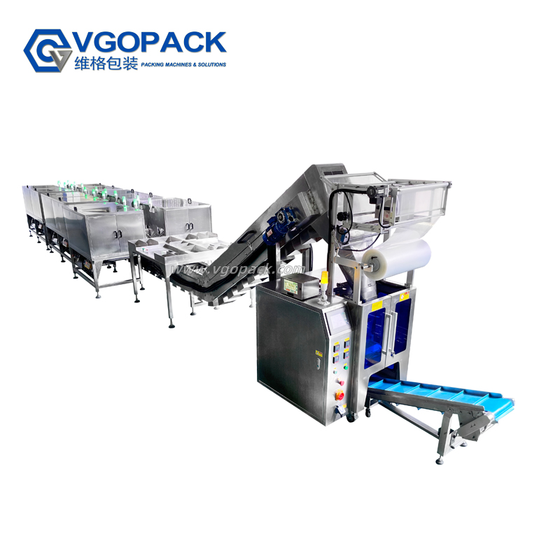 Multi-Bowls Packing Machine (5)