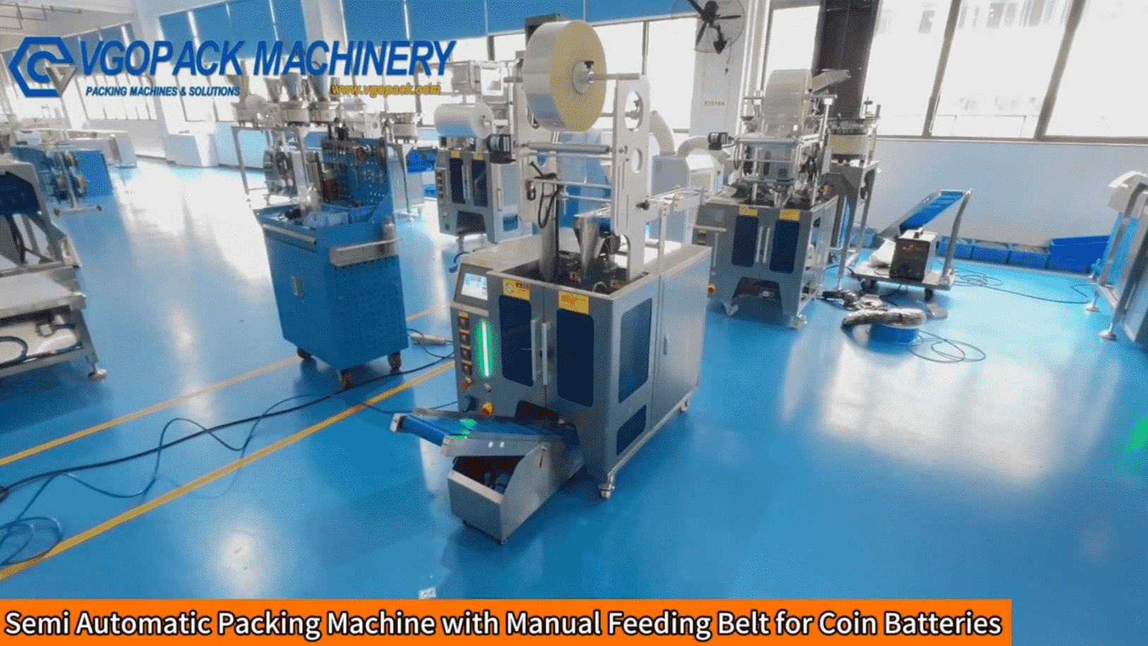 Semi Automatic Packing Machine with Manual Feeding Belt for Coin Batteries