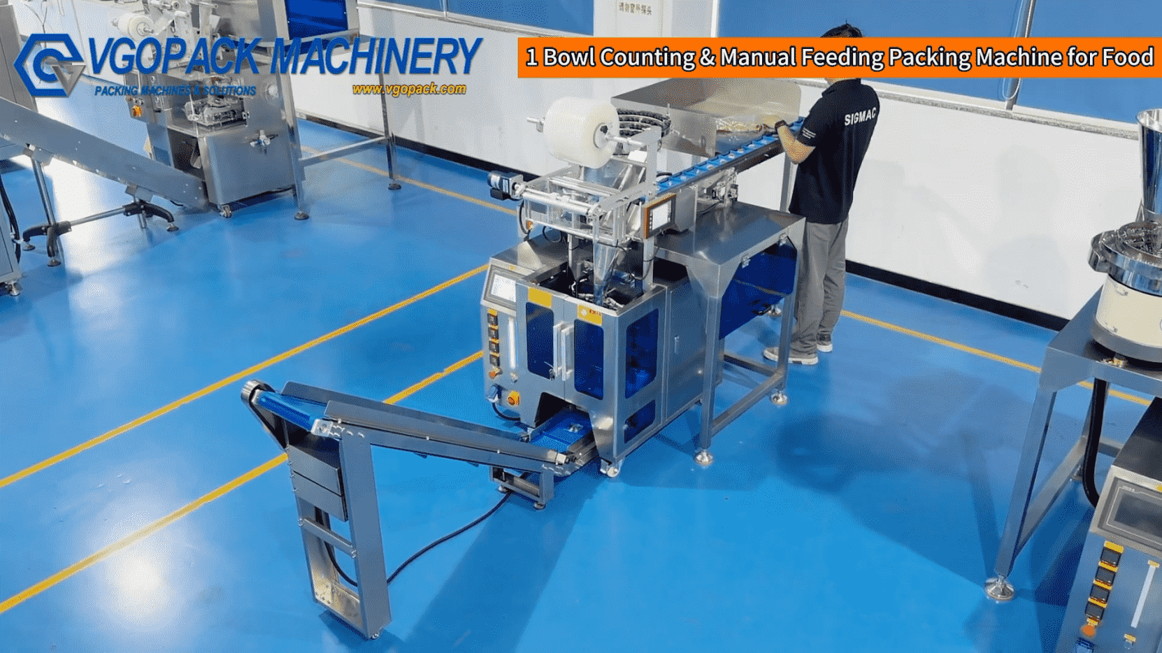 Single Bowl Black Sesame Ball Packing Machine | Automatic Counting & Packaging