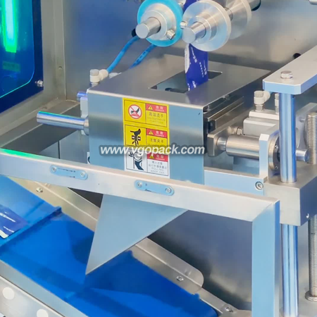 Single Bowl Counting Packing Machine-Capsule 4-side Seal Bag (5)