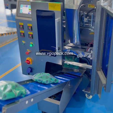 Single Bowl Counting Packing Machine-Plastic Part (4)