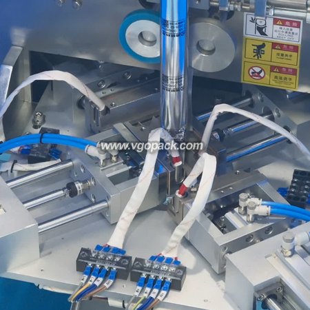 Single Bowl  Counting Packing Machine for Triangle Bag-Nuts  (7)