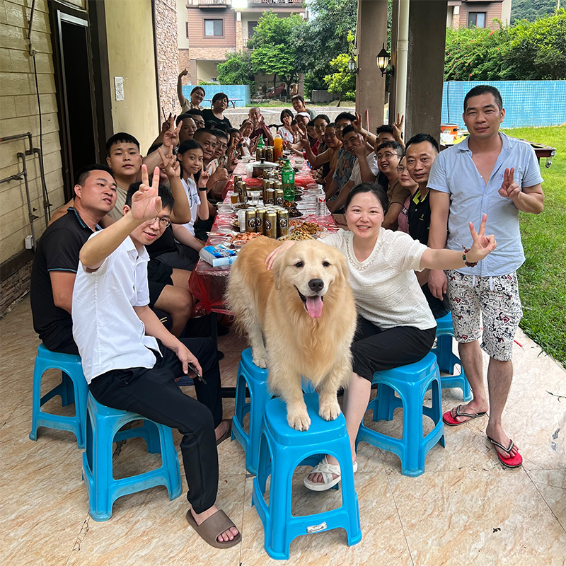 Company Team-Building Event: An Unforgettable Getaway to Qingyuan