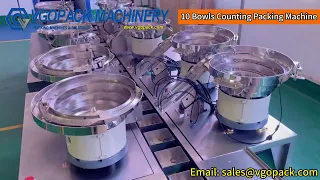 10 Bowls Hardware Counting Packing Machine
