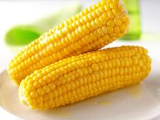 Corn