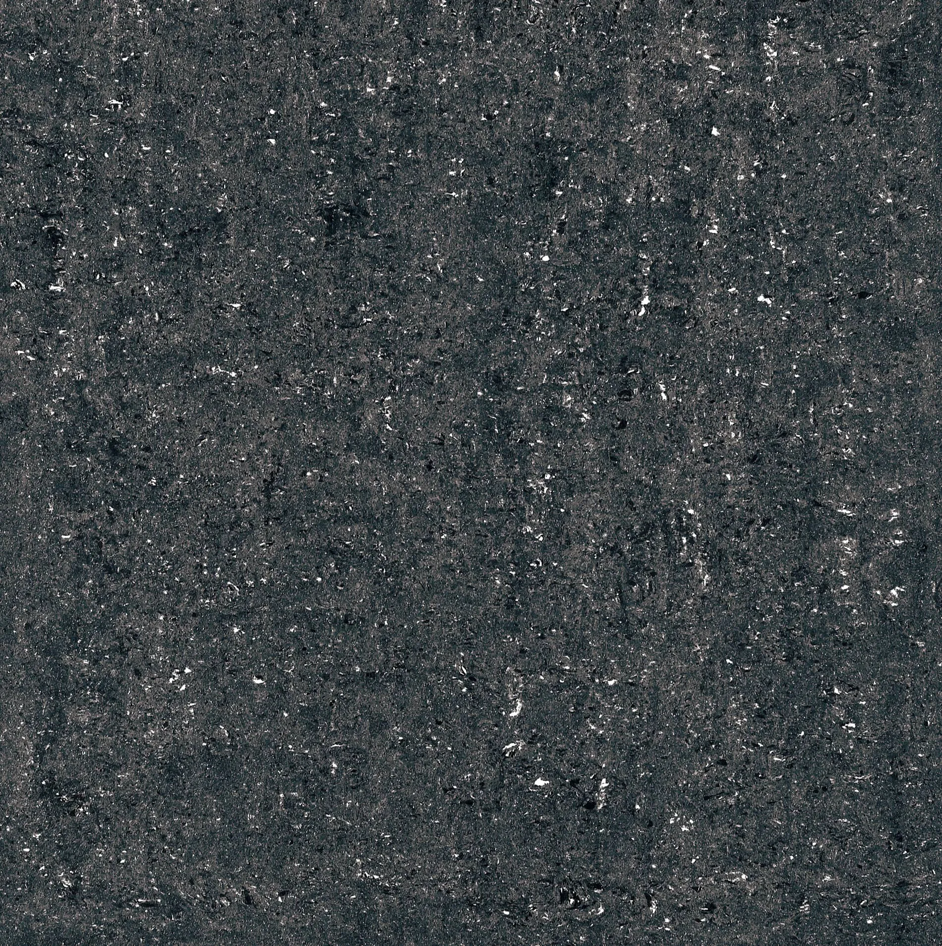 DOUBLE LOADING - NB097