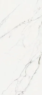 EASTERN WHITE - SGVB12279P72