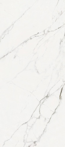 EASTERN WHITE - SGVB12279P72