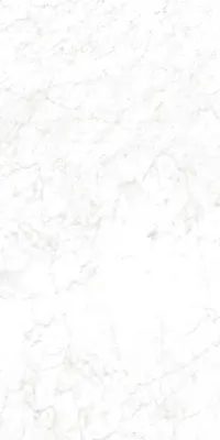 Carrara Bianco - 590