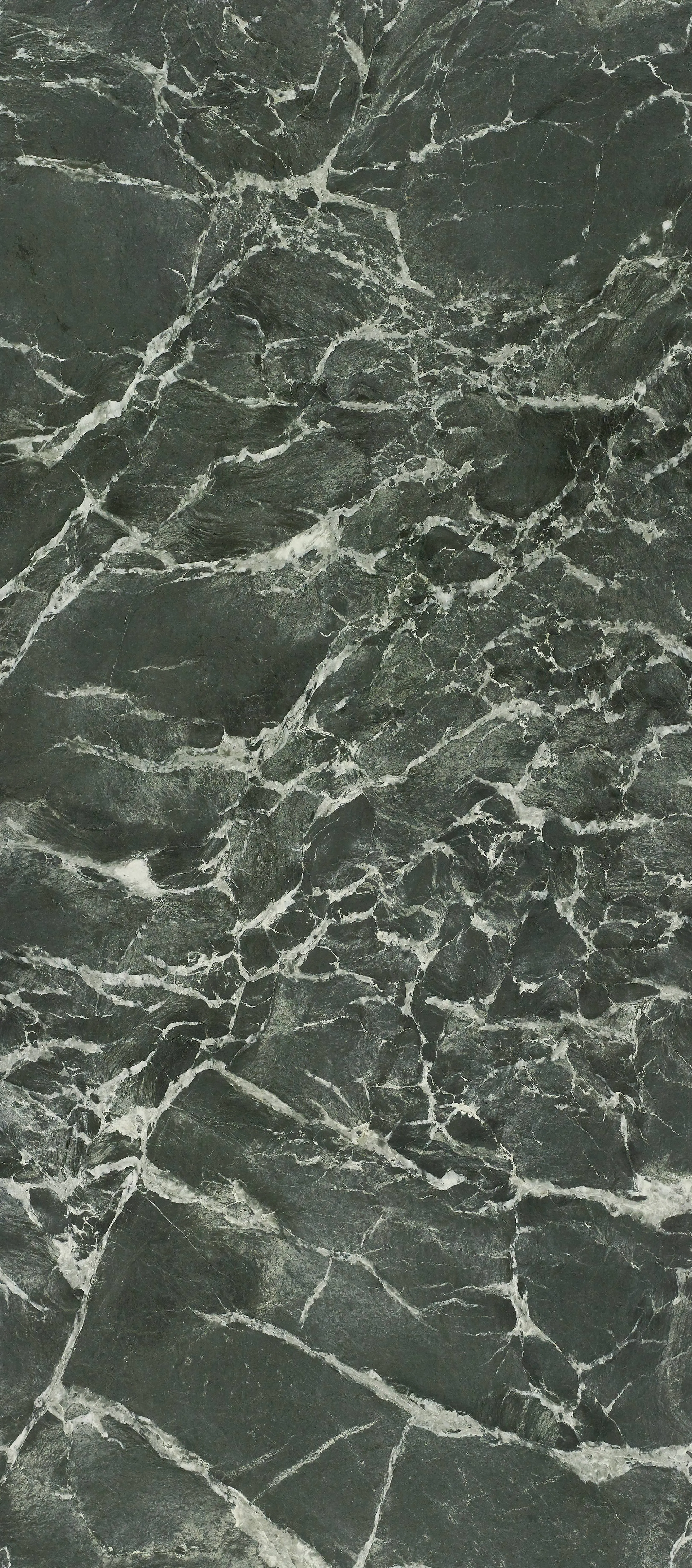 ANALOGY - YWEB12279S1258