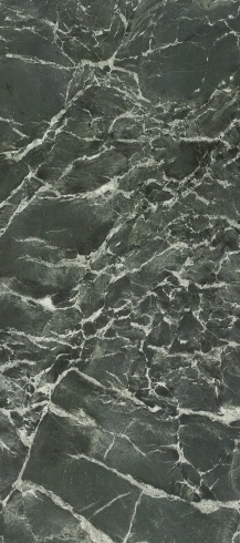 ANALOGY - YWEB12279S1258