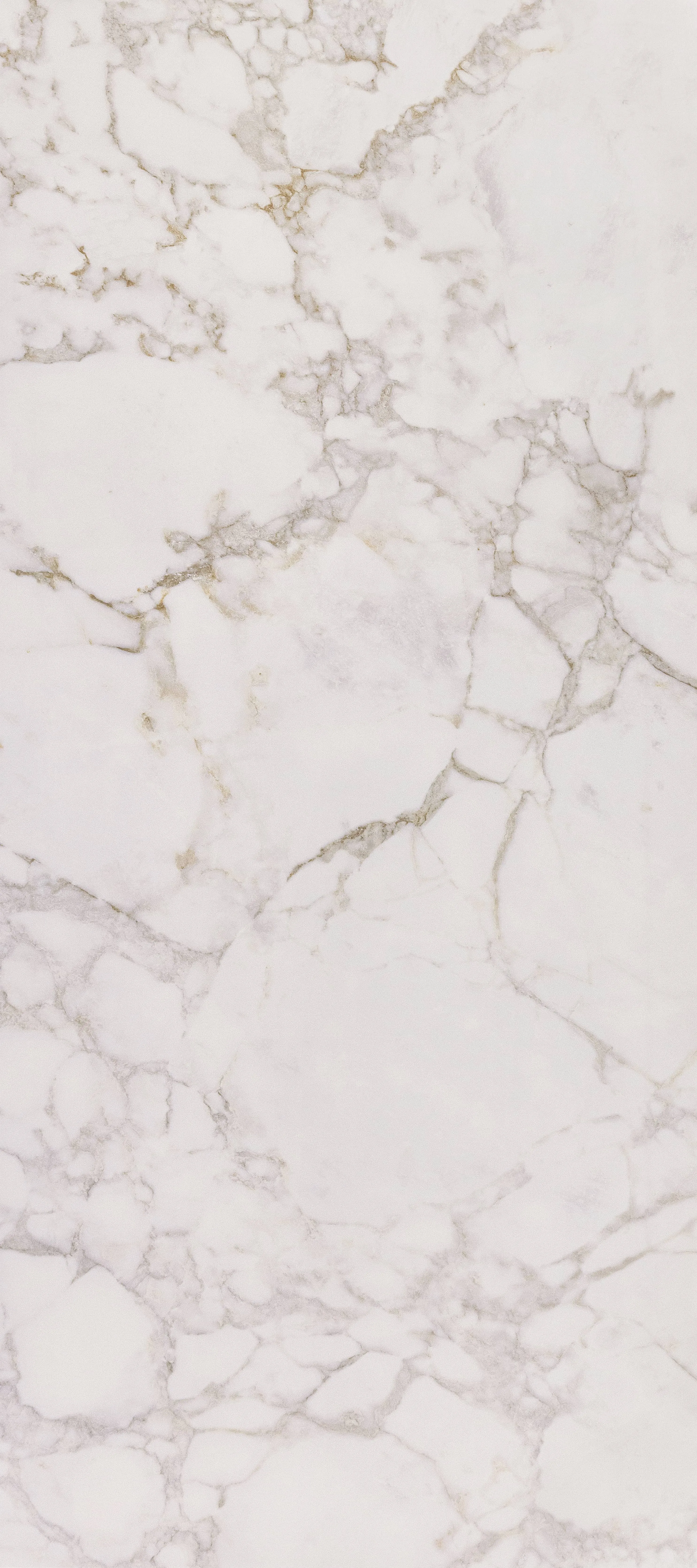 MOISTEN - DEB12279P2911M