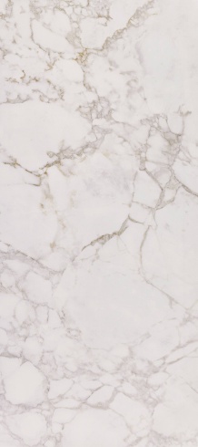 MOISTEN - DEB12279P2911M