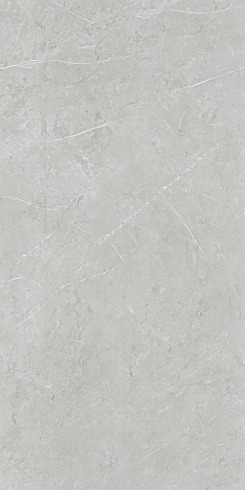 Silver - 6572