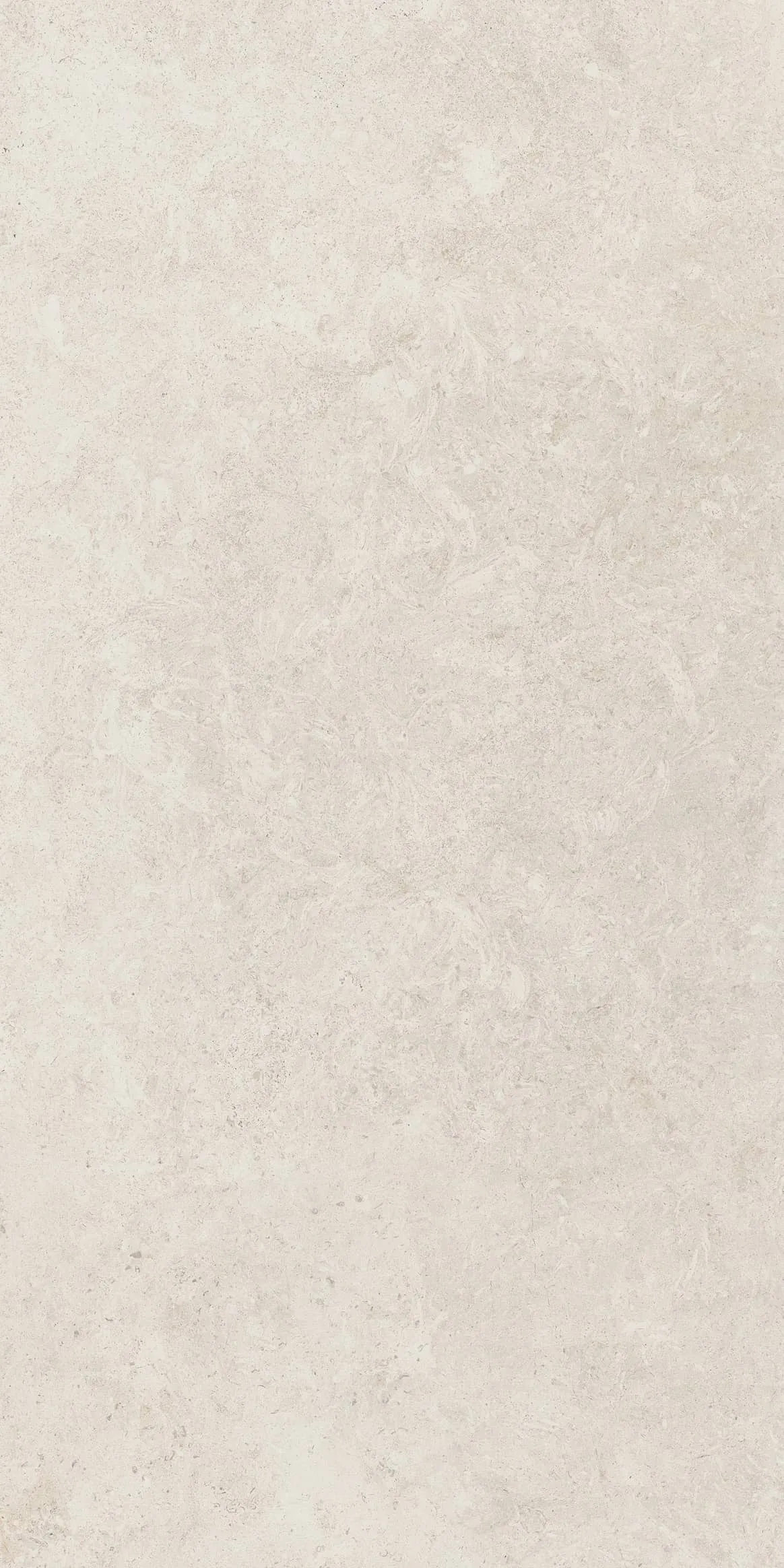 LIMESTONE - 1556