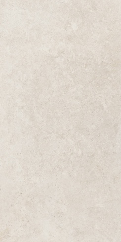LIMESTONE - 1556