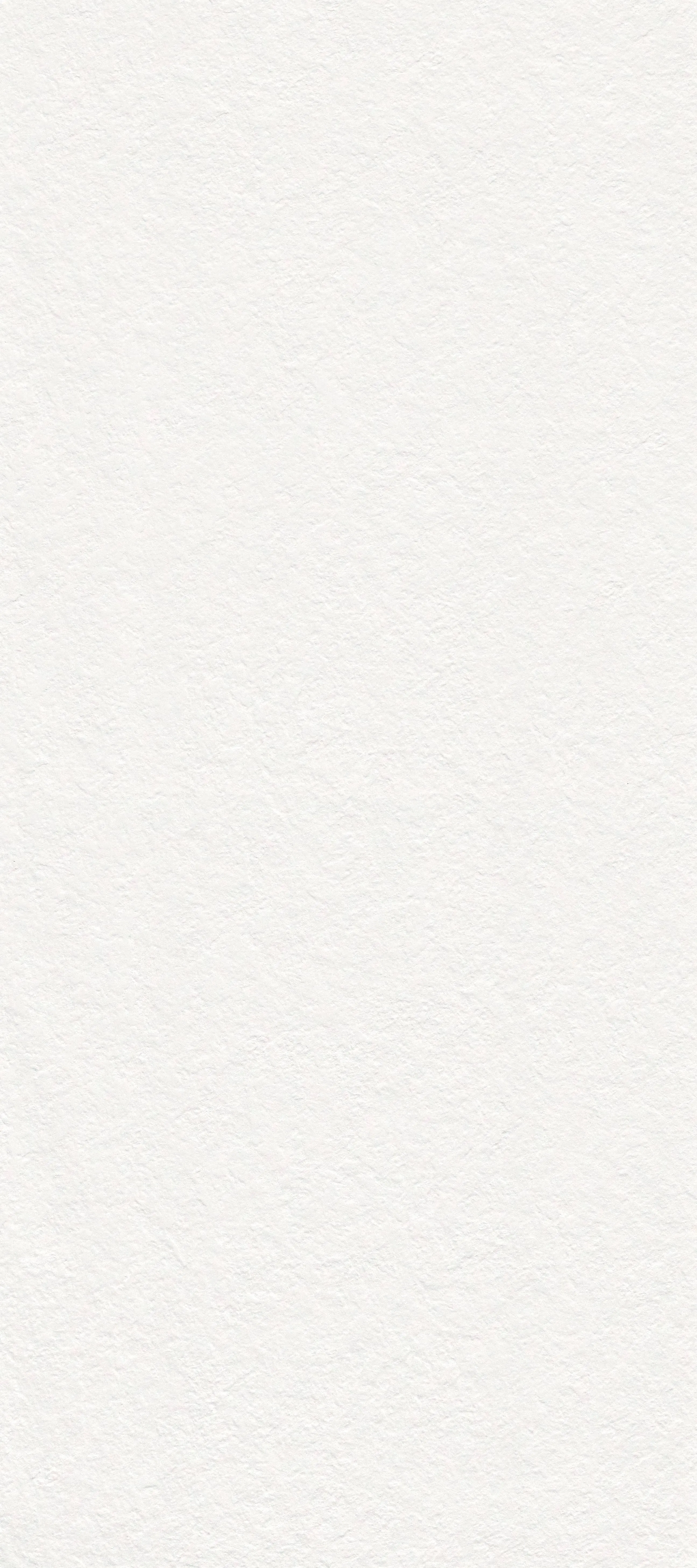 QATAR WHITE - YGVBC230