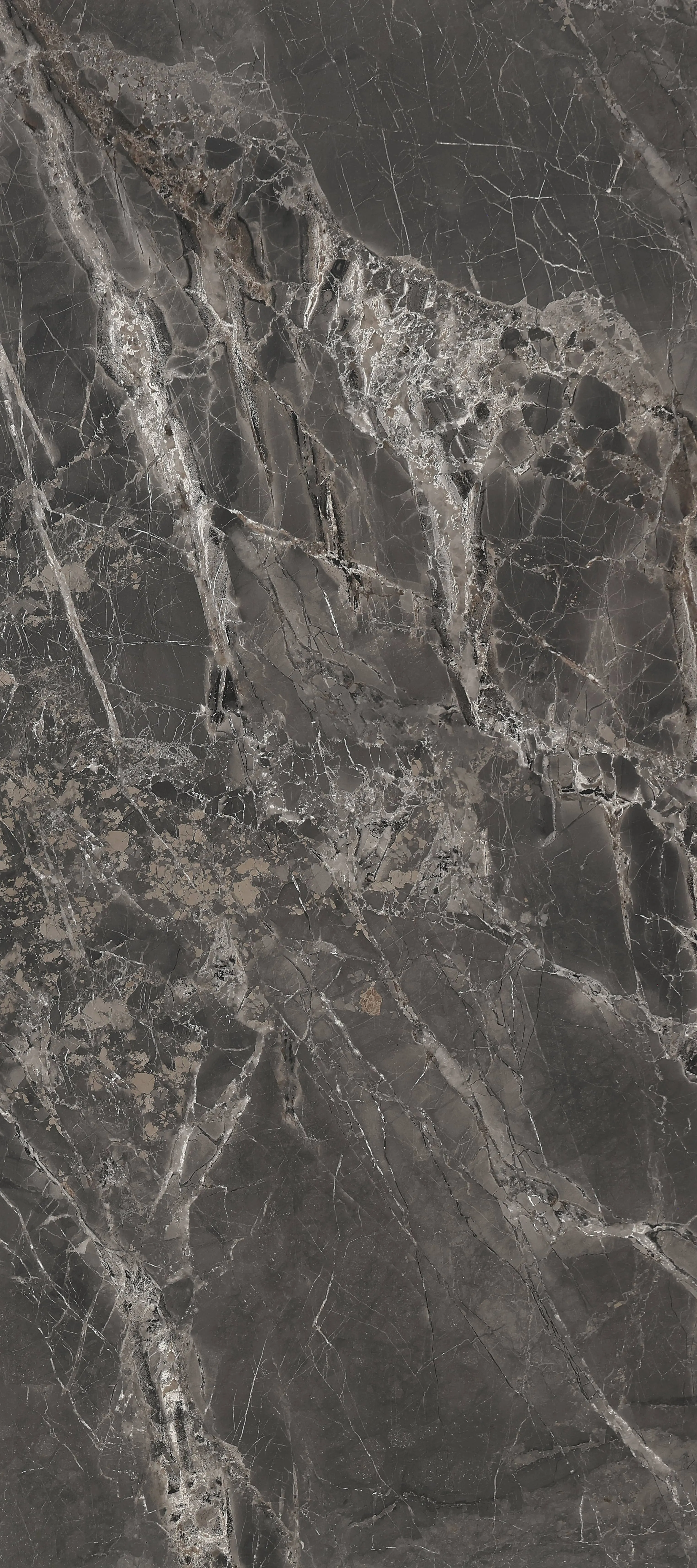 AMAZON DARK - SGVB12279P76