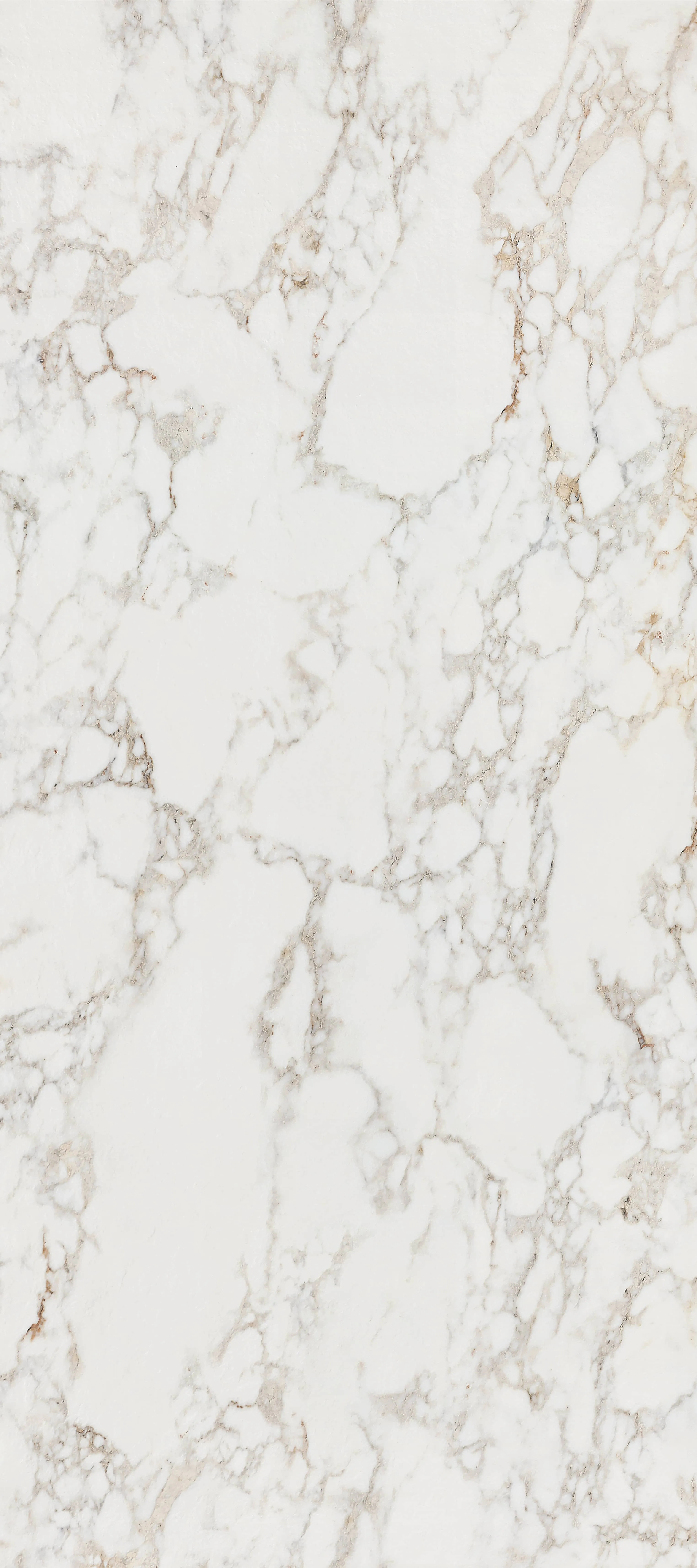 LUXURY WHITE - YGVBS7322