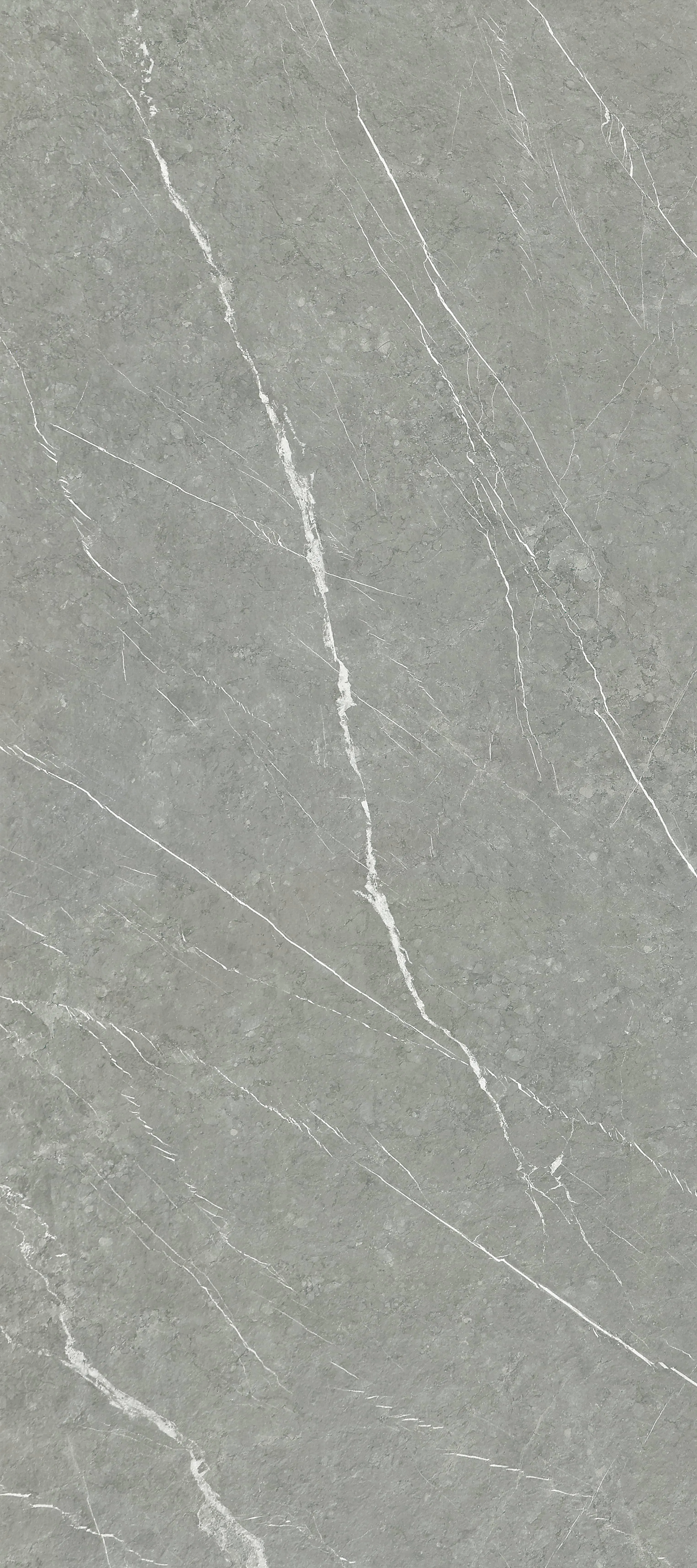 MODERN GREY - YGVBS7327