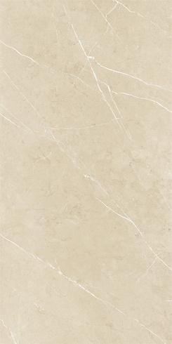 Silver - 6573