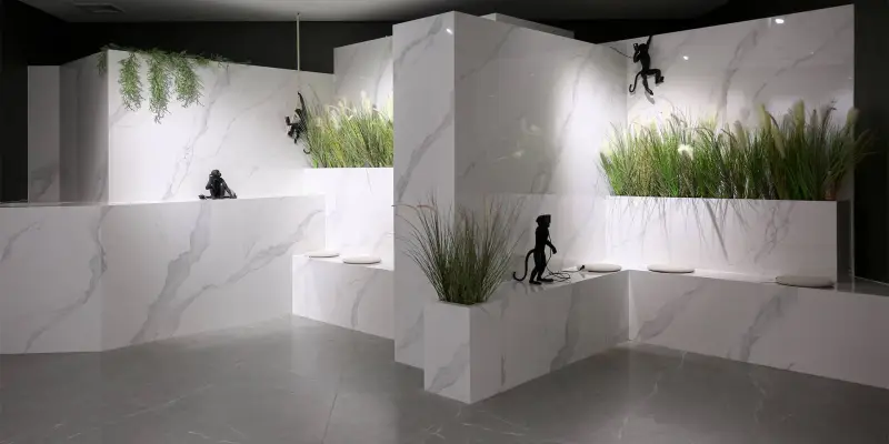 Showroom-1