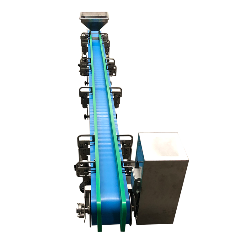 Food Grade Sanitary Flat Conveyor Exporter