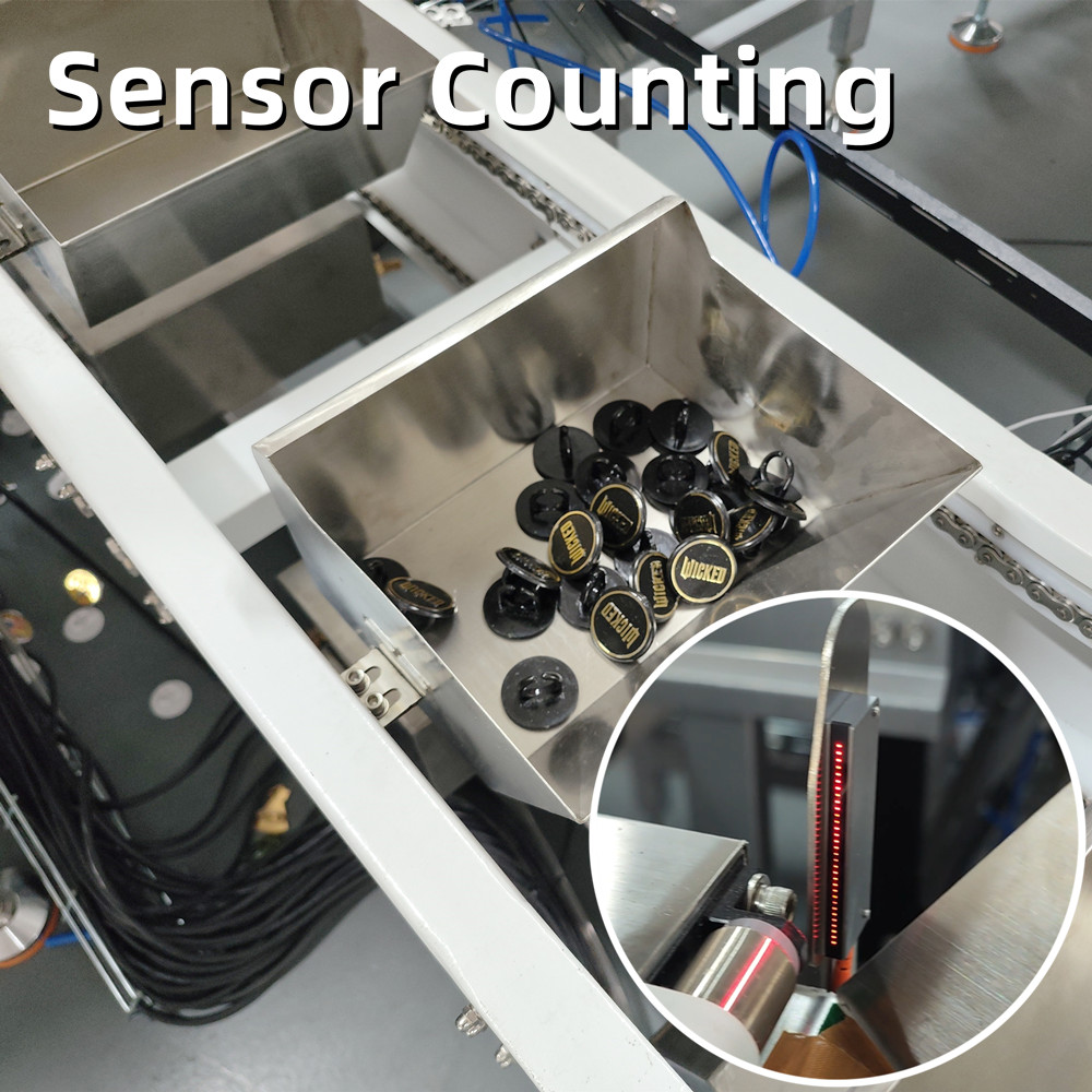 Customized Counting Sorting Conveyor System