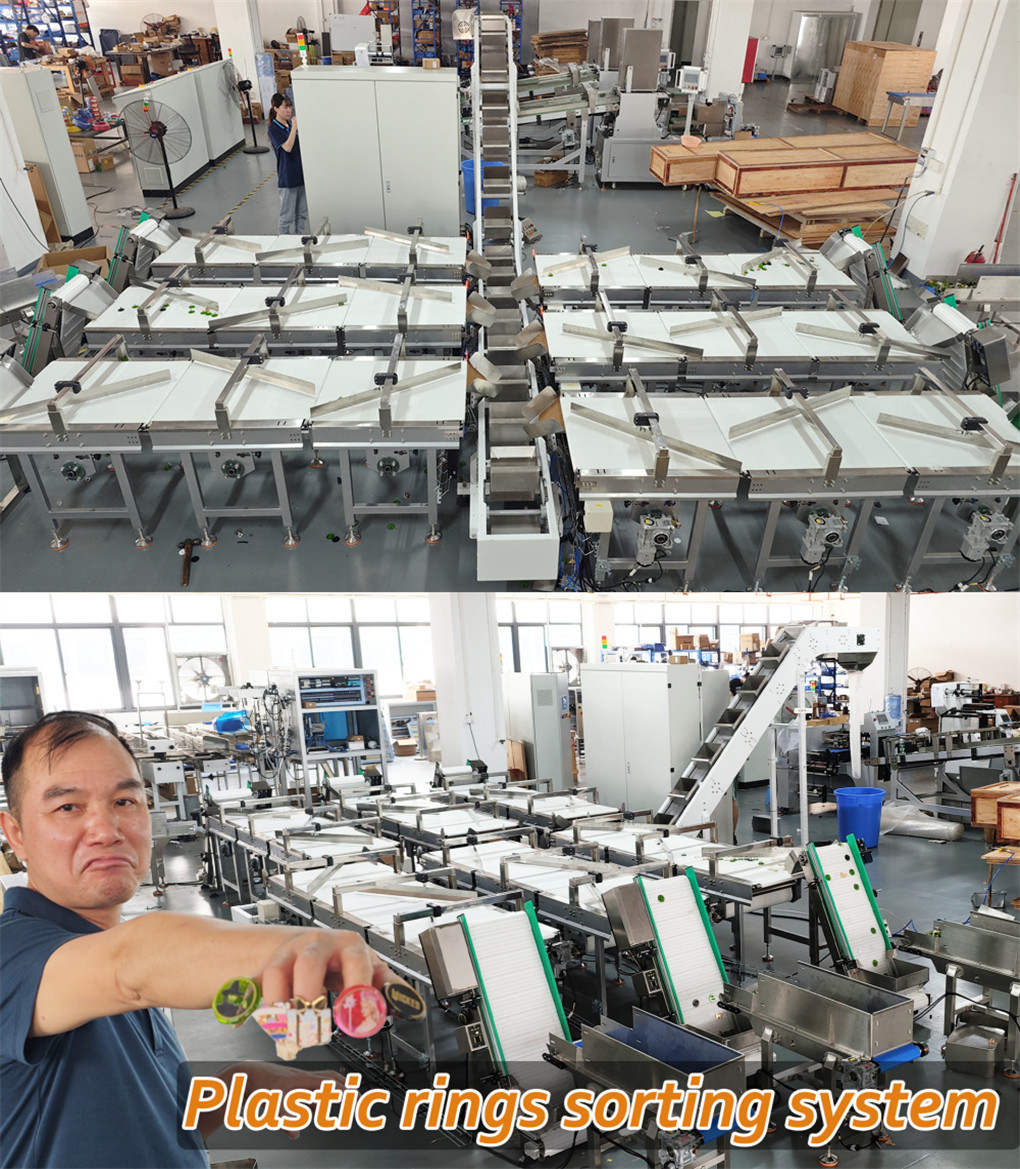 Customized Counting Sorting Conveyor System