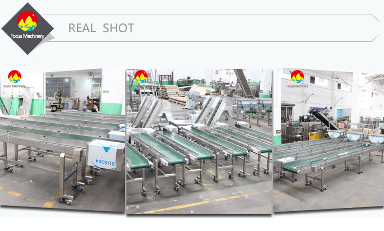 Customized Stainless Steel Horizontal Belt Conveyor Exporter