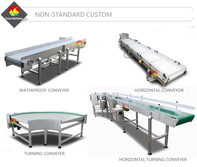 Customized Stainless Steel Horizontal Belt Conveyor Exporter