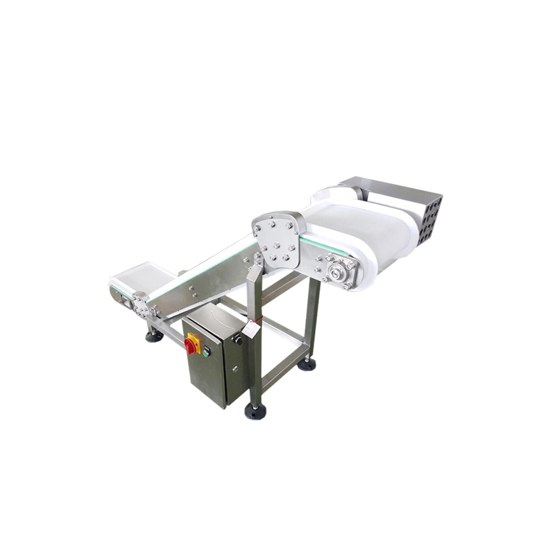 Output Conveyor for Taking Away Finished Products