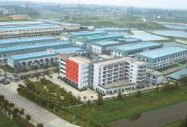Bird view of our company