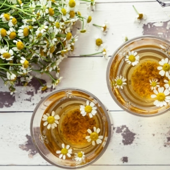 Chrysanthemum in Traditional Chinese Medicine