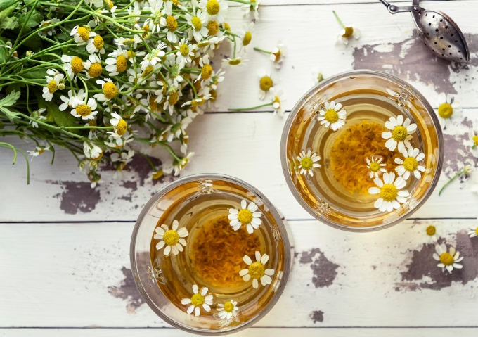 Chrysanthemum tea is a classic evening drink in China