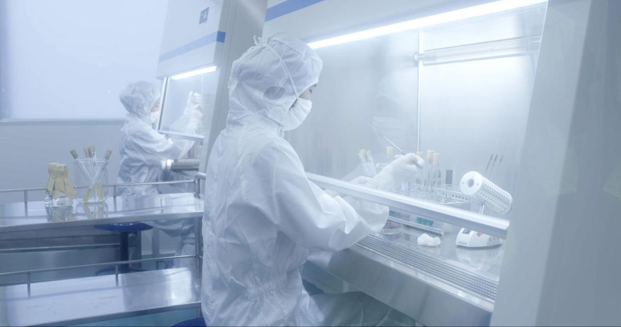 Good Manufacturing Practice (GMP) of YIFANG Pharmaceutical