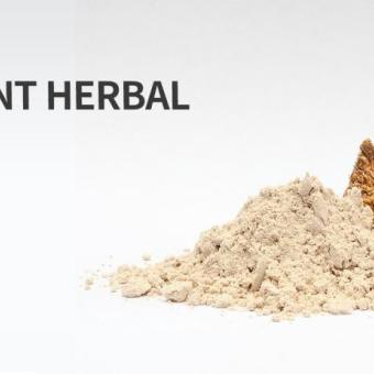Advancing Modern Wellness with Adaptogenic Herbal Granules