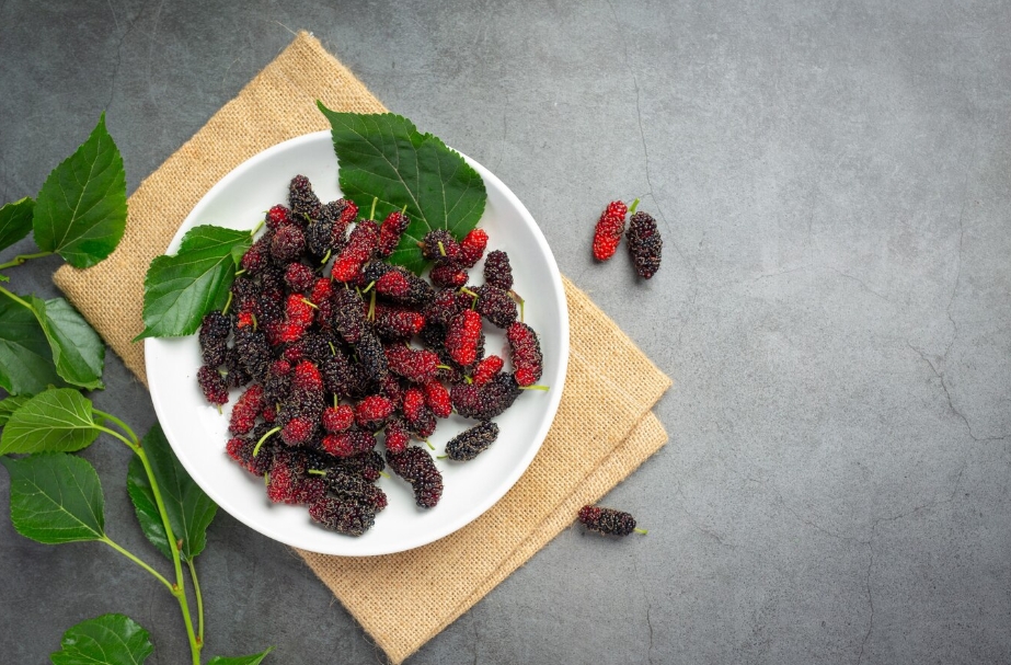 mulberry leaves