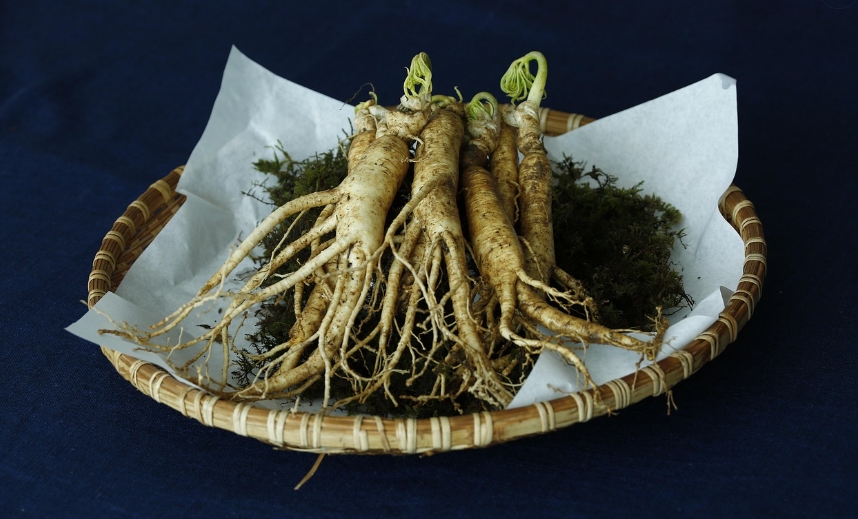 whole ginseng root