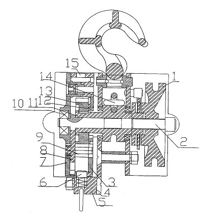 How to maintain the group lifting electric hoist