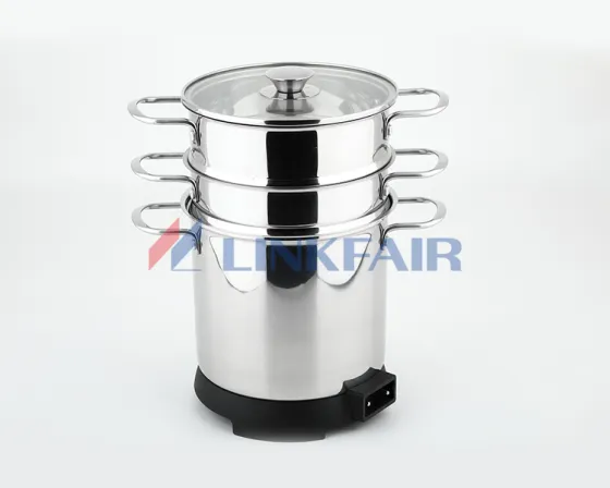 6QT Electric Spaghetti Pot