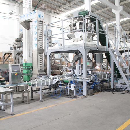 OEM Automatic Hardware Packing Machine Supplier-Dual Cartonning System