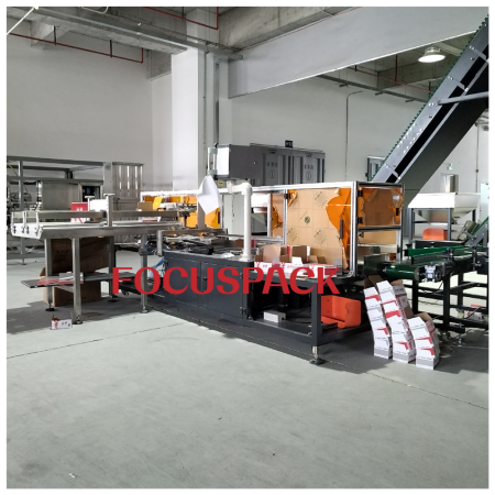 Multi-function carton box erector