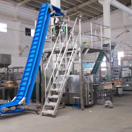 Automatic Premade Bag Rotary Packing Machine