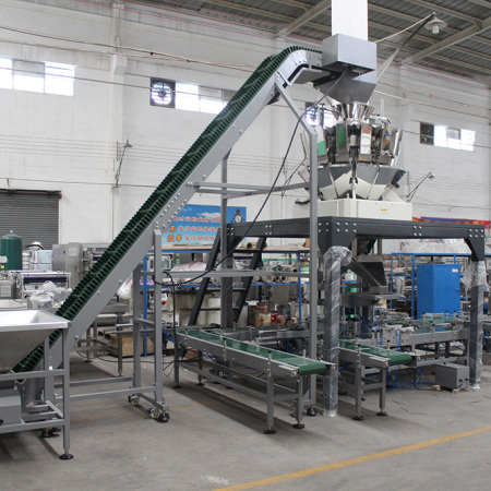 OEM Automatic Hardware Packing Machine Supplier-Dual Cartonning System